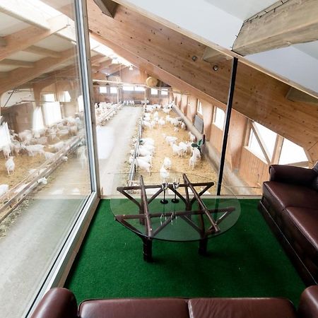Apartamento Auszeit Am Ziegenhof Nur Fuer Erwachsene Schlierbach Exterior foto
