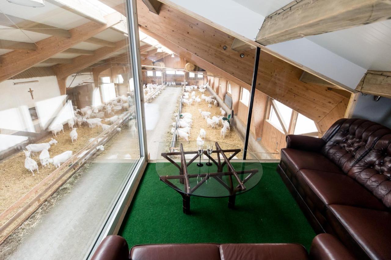 Apartamento Auszeit Am Ziegenhof Nur Fuer Erwachsene Schlierbach Exterior foto